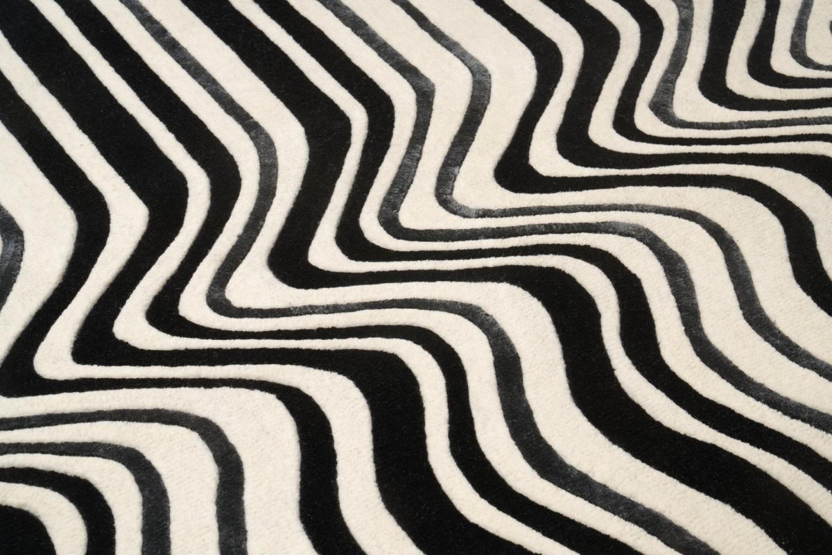 Kilimas DRAFT 160x230