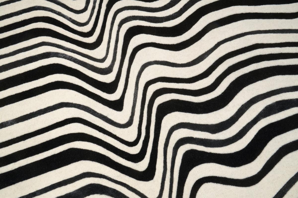 Kilimas DRAFT 160x230