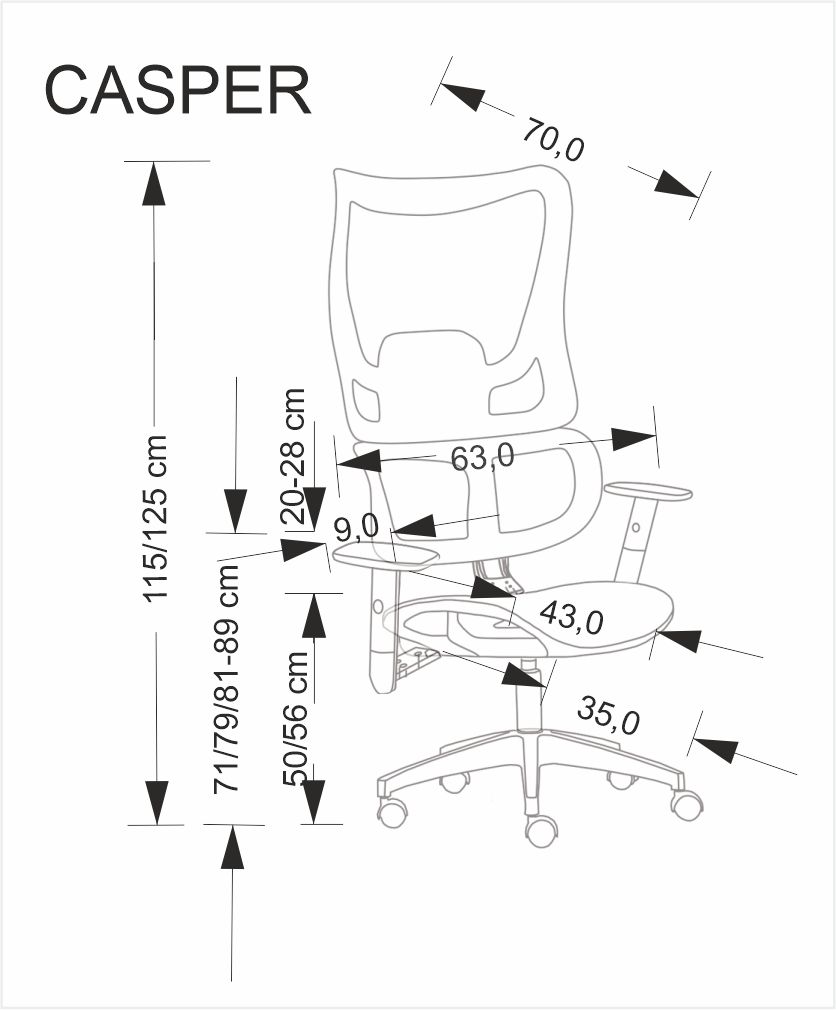 Darbo kėdė CASPER