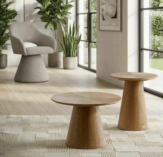 Žurnalinis staliukas ANGEL 60X40 ąžuolas